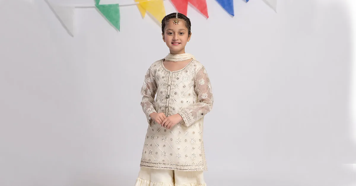 3 Piece Embroidered Organza Suit | MKS-EF24-11