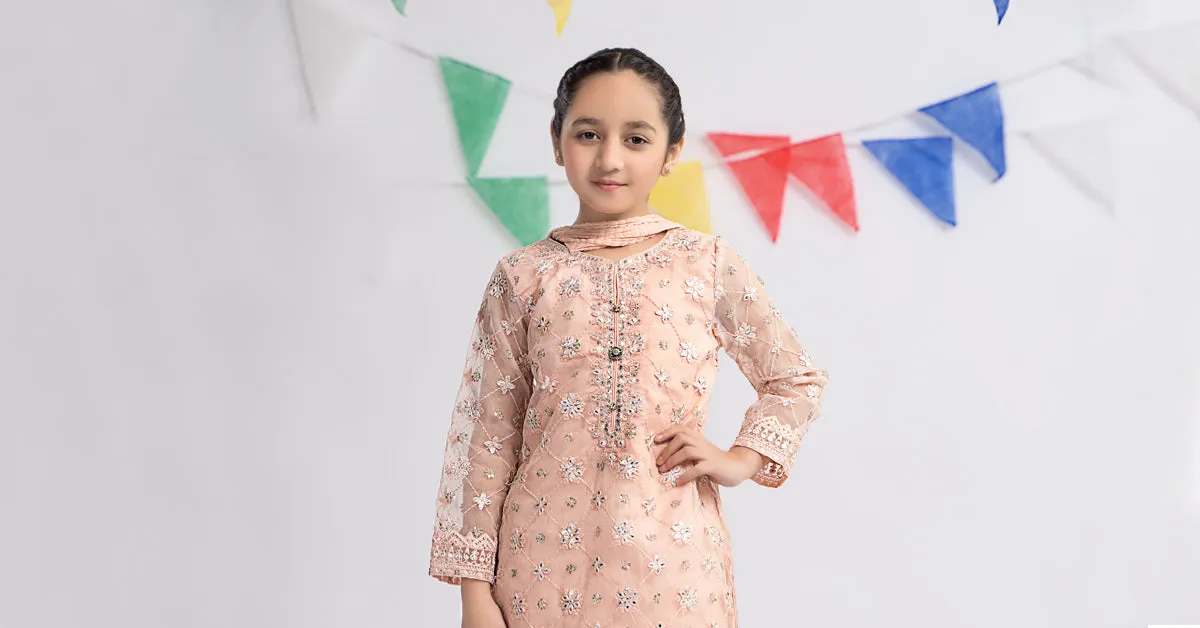 3 Piece Embroidered Organza Suit | MKS-EF24-11