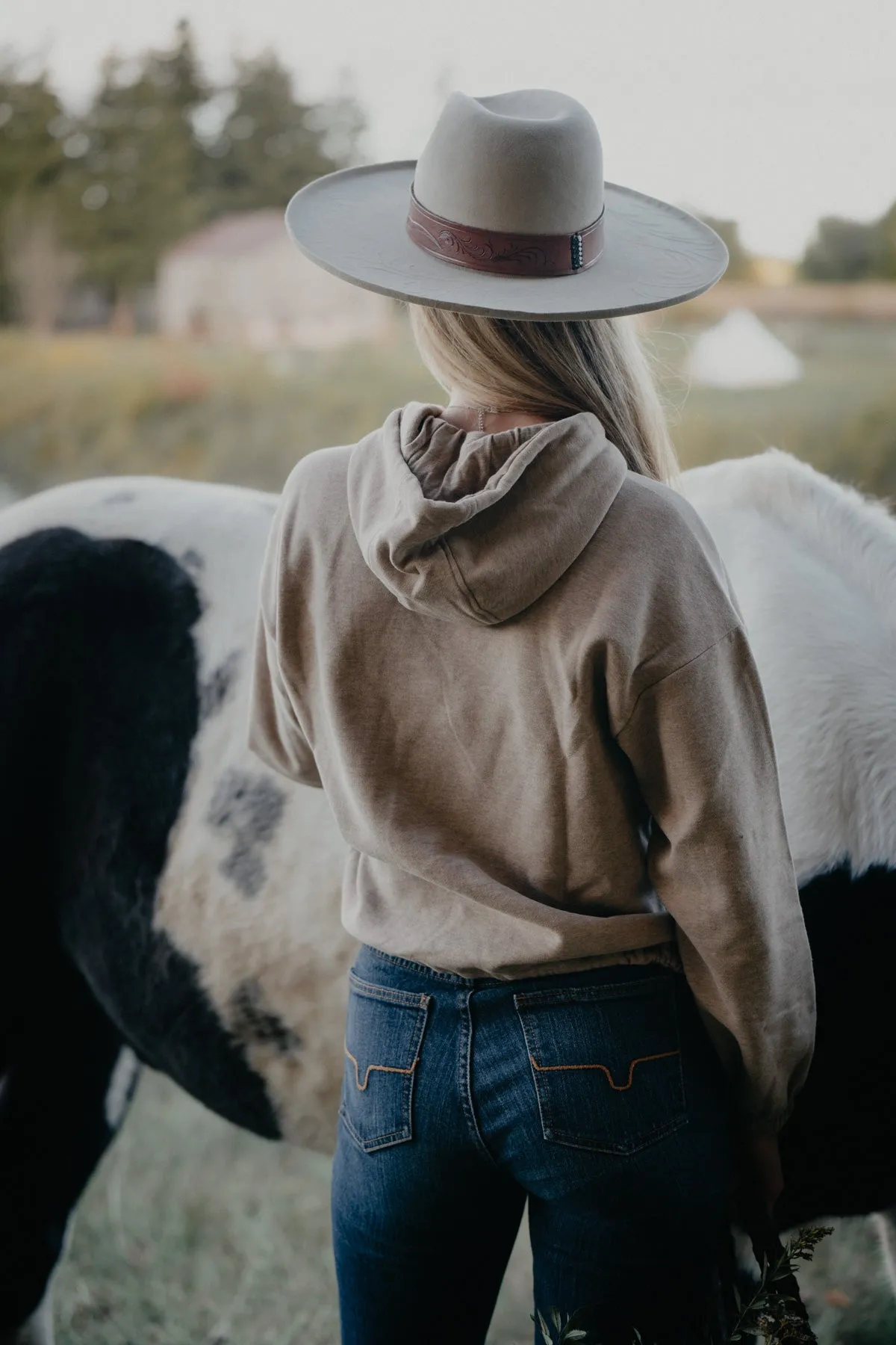 'Amie' Women's Ariat Essential Logo Pullover (XS-XXL)