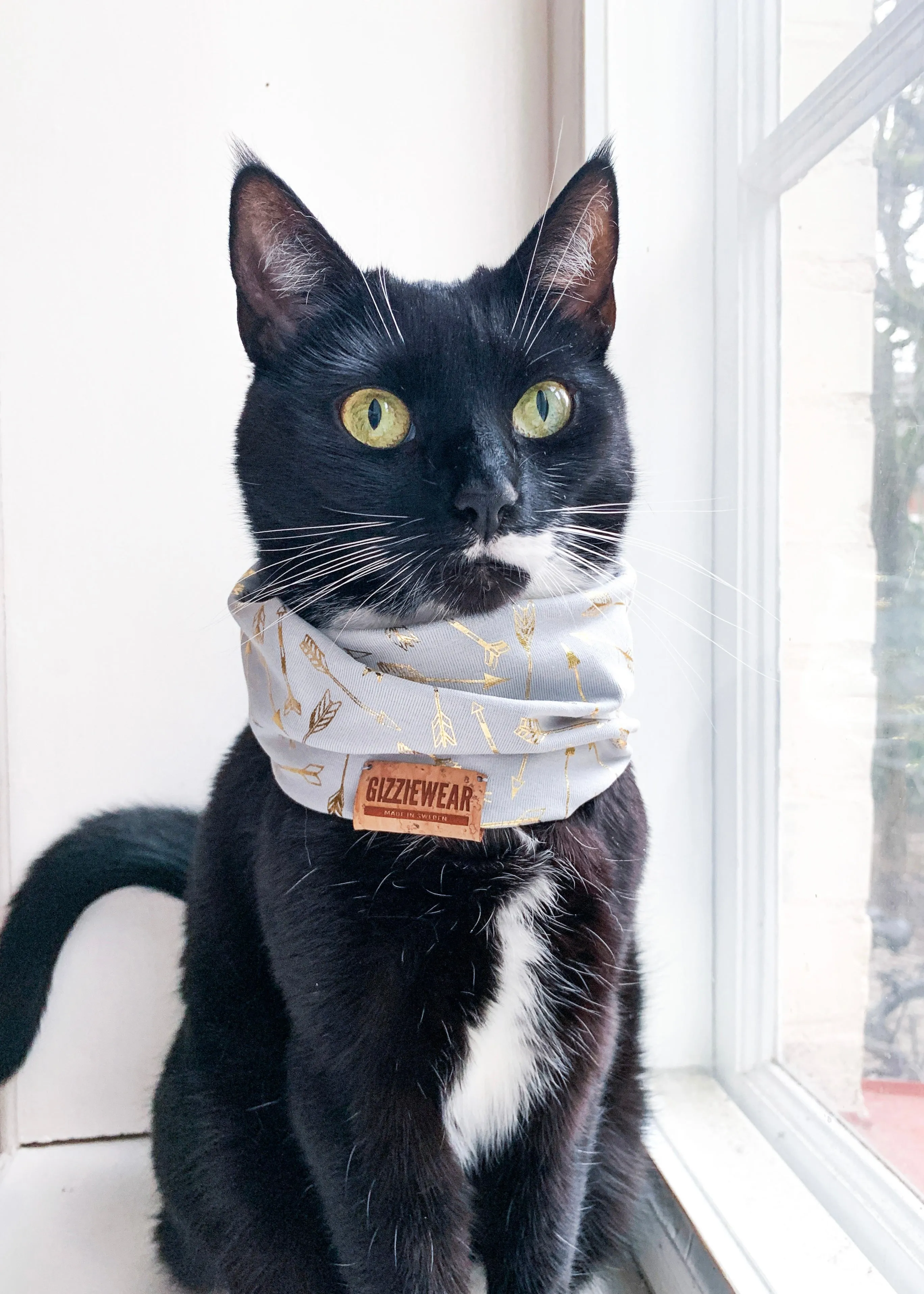 Grey Amore pet scarf