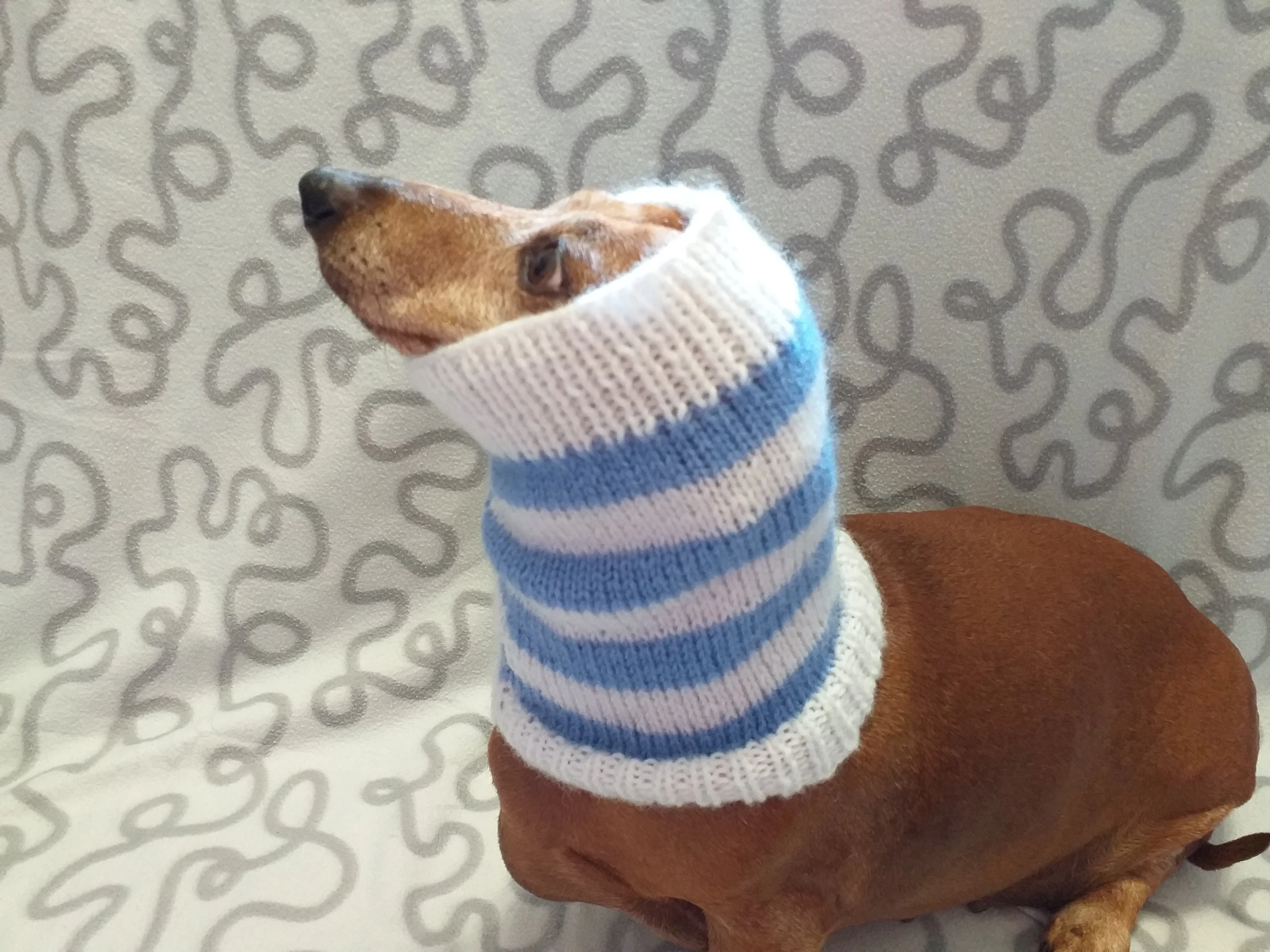 Handmade angora snood scarf for dogs, Snood Warm Winter Knitted Dog Hat Warm Ears Dachshund Snood Hat