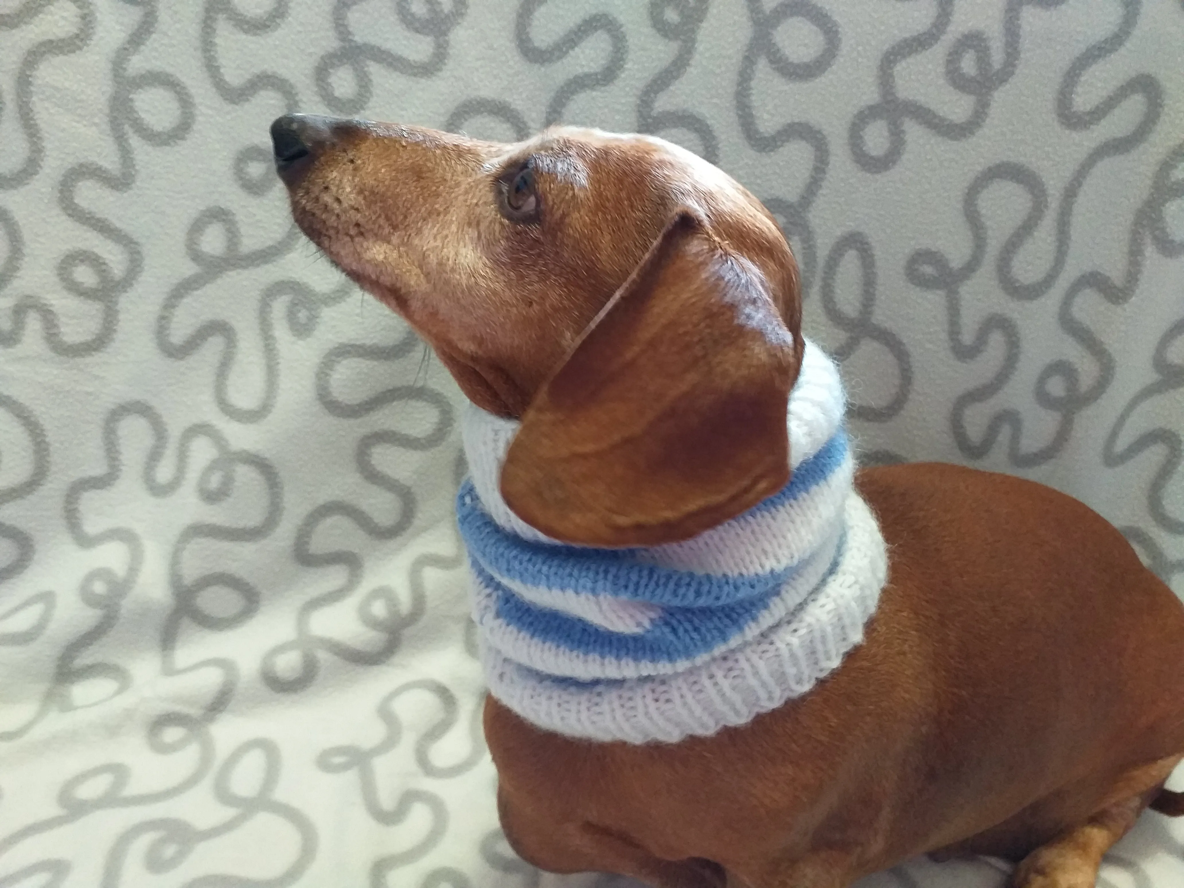 Handmade angora snood scarf for dogs, Snood Warm Winter Knitted Dog Hat Warm Ears Dachshund Snood Hat