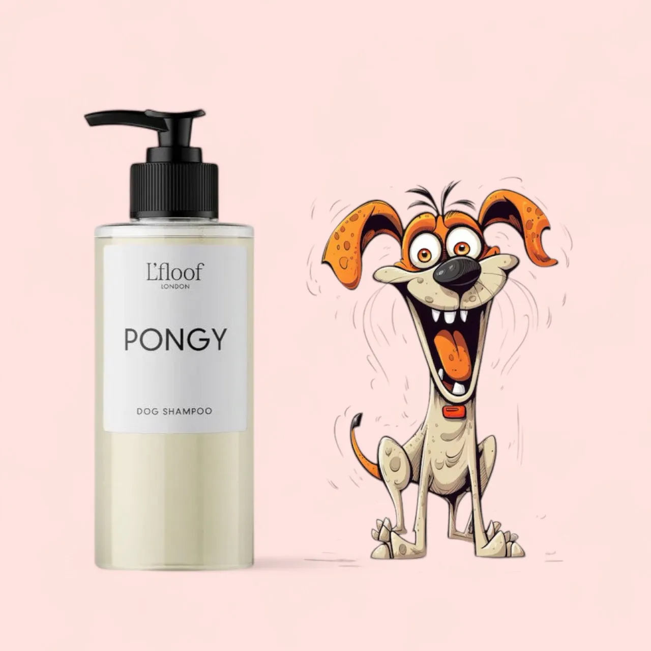 PONGY | Orange & May Change Shampoo