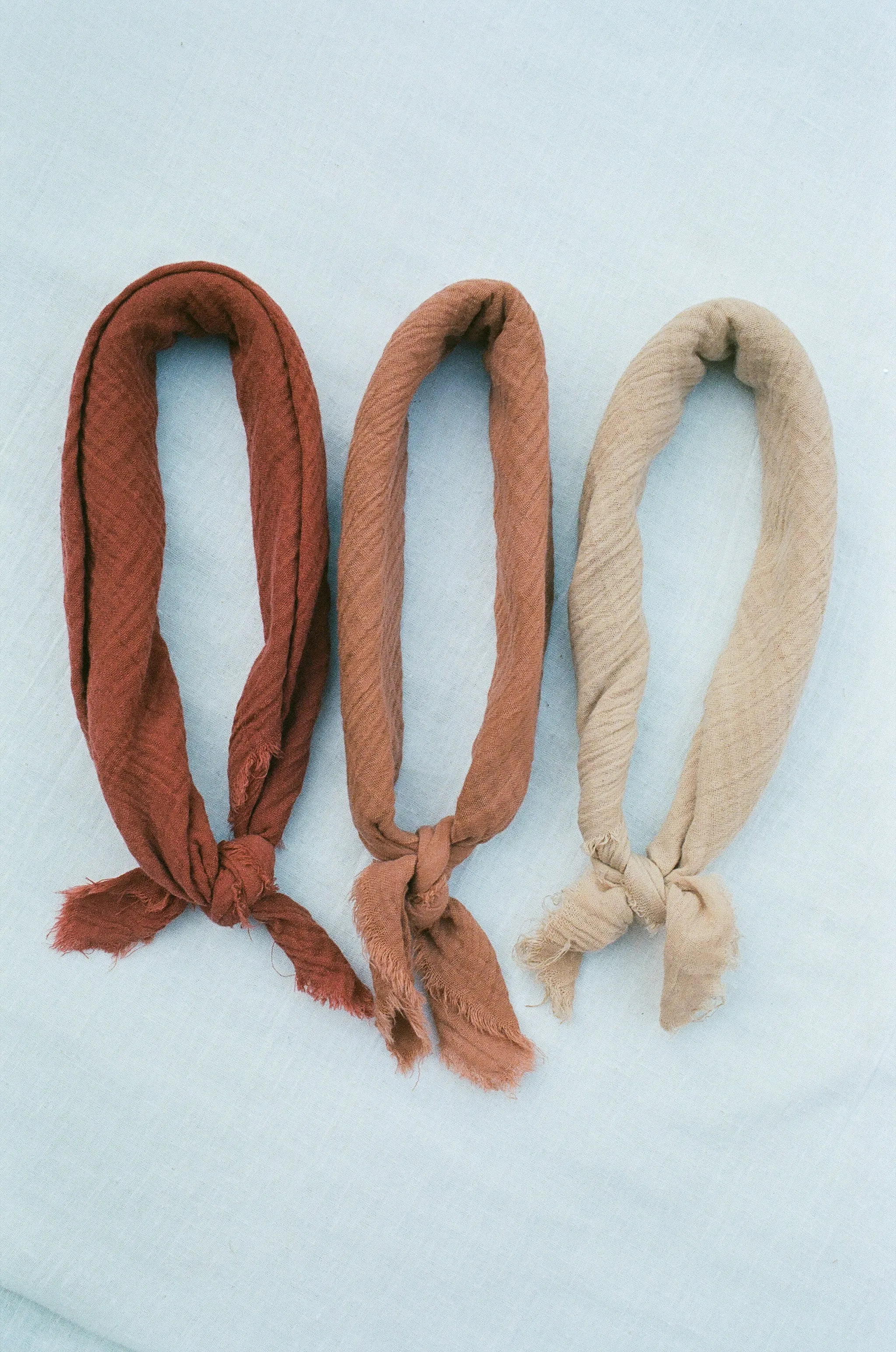 Rust Organic Cotton Plant Dyed Bandana