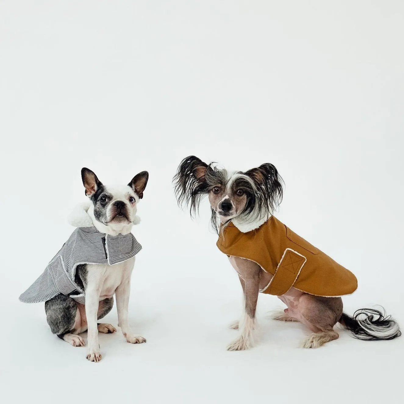 The Working Dog Co - Fleece-lined Jacket