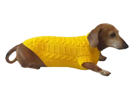 Yellow knitted sweater for dachshund or small dog