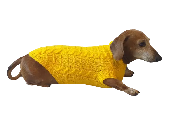 Yellow knitted sweater for dachshund or small dog